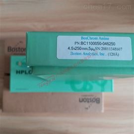Boston BosChrom ODS-AQ 波士顿亲水色谱柱