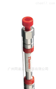28905-254630Thermo Hypersil BDS Phenyl热电苯基色谱柱