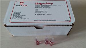 MA/6MagnaAmp蒸汽自含式生物指示剂